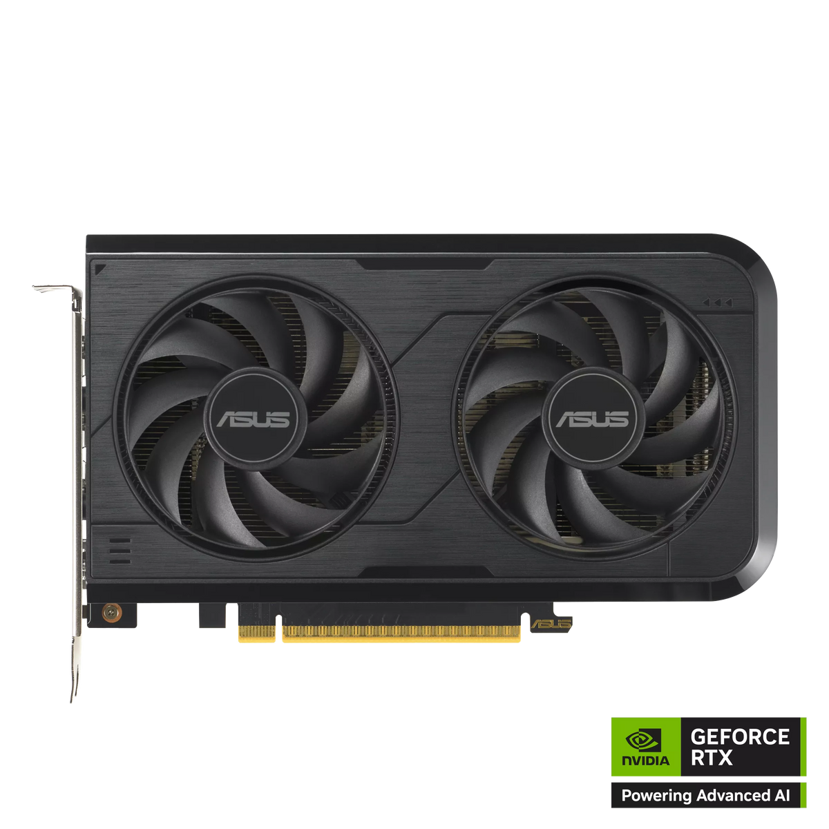 CARTE VIDEO ASUS GEFORCE RTX 5050 8GO (DUAL)