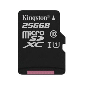 CARTE MÉMOIRE MICRO SDXC KINGSTON 256GO