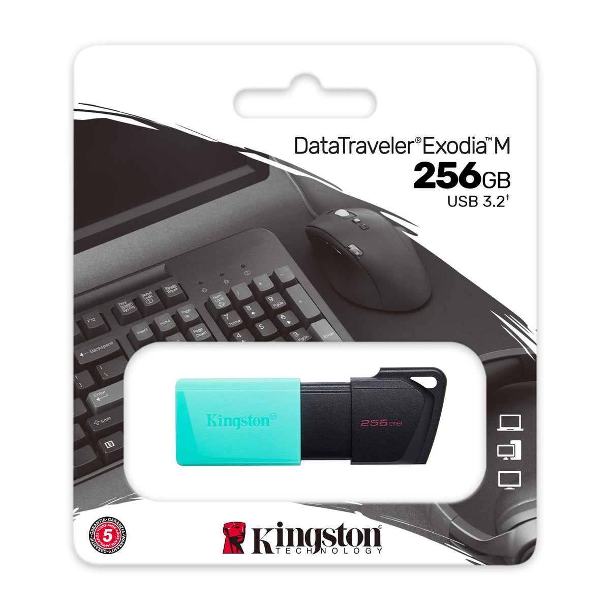 CLÉ KINGSTON 256 GO EXODIA-M (USB 3.2)